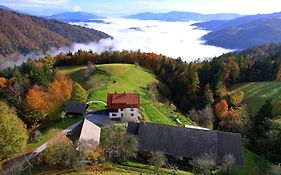 Healing Farm