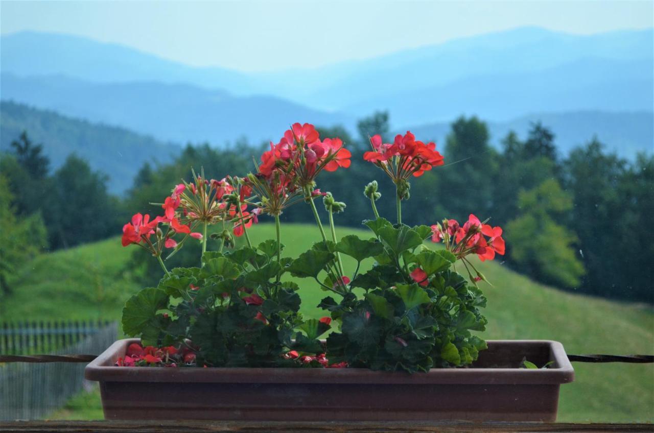 Appartement Healing Farm à Gorenja Vas  Extérieur photo