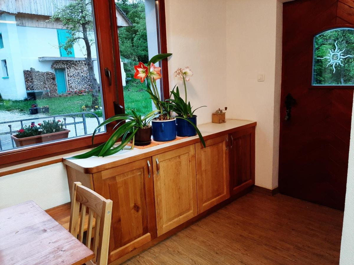 Appartement Healing Farm à Gorenja Vas  Extérieur photo