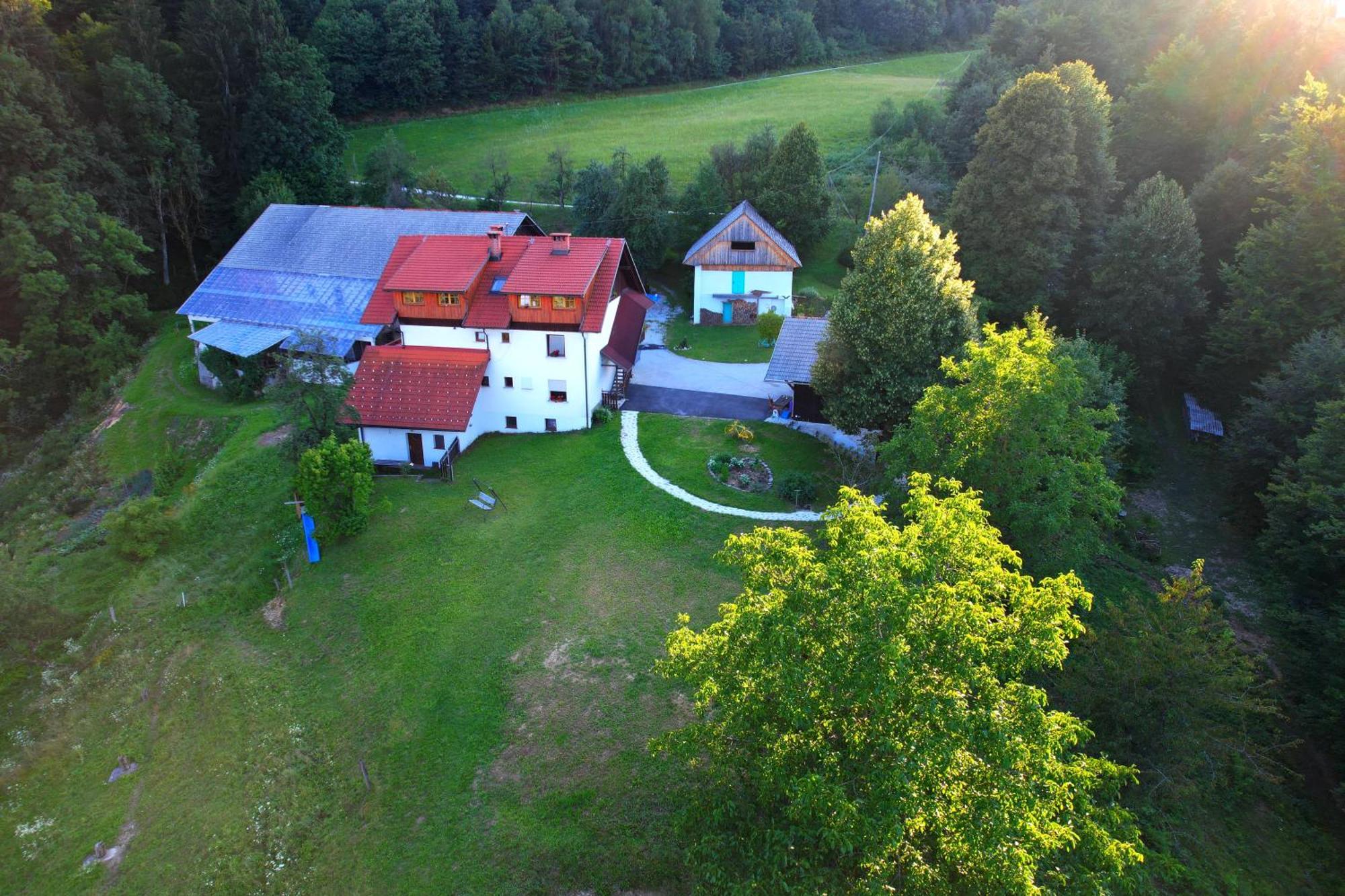 Appartement Healing Farm à Gorenja Vas  Extérieur photo
